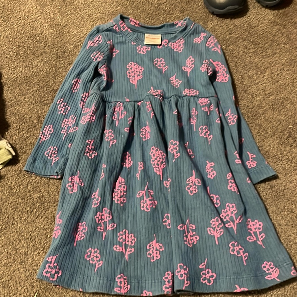 2T Hanna Andersson Dress